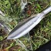 Thickened Garden Shovel Stainless Steel Gardening Tool Catching Vegetable Rake  Outdoor Garden