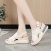 Women Wedge Platform Sandals Peep Toe Sandals Summer 2024 New Fashion Open Toe Casual Thick Sole Sandals Footwear Zapatos Mujer