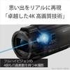 SONY 4K Video Camera Handycam FDR-AX45 (2018 Model) Black Built-in Memory 64GB 20x Optical Zoom Spatial Optical Image Stabilization FDR-AX45 B