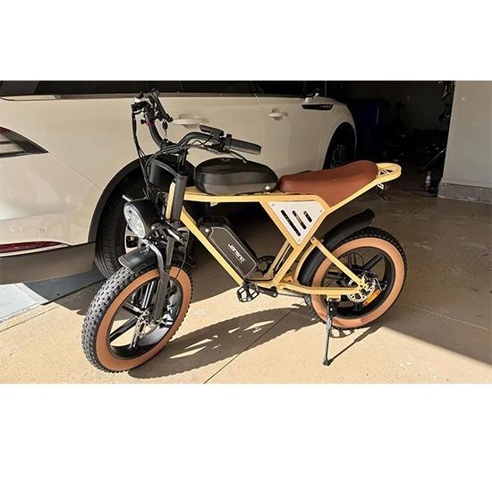 EBike x70 750W dual lithium battery 37AH range 40KM/H 20 * 4Fat tires mountain off-road electric bicycle electric motorcycle.