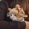 Fashion Warm Cat Flying Hat Windproof with Ear Hole Fluffy Dog Hat Lamb Fur Pet Headwear Photograph