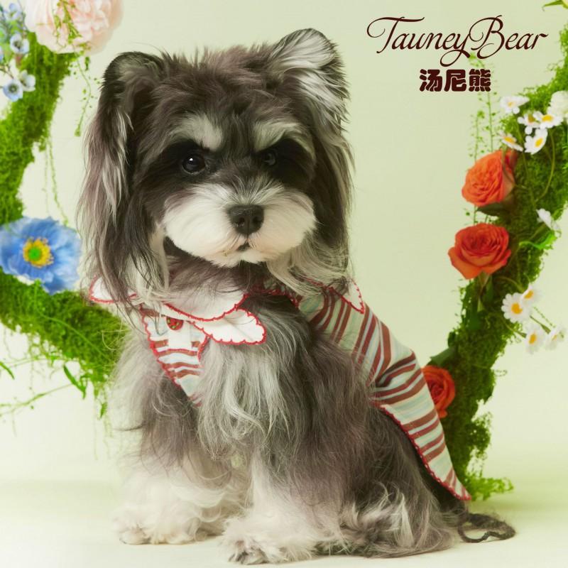Cotton Pet Vest Schnauzer Teddy Bichon Navy Collar Striped Blue Brown Casual Dog Clothing