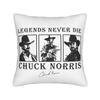 Remember Chuck Norris Throw Pillow Cover Polyester Decorative Pillow   Creative Pillowcase