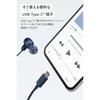 JVC Kenwood Victor HA-FR29UC-W earphones wired with microphone high resolution carrying pouch Type C Canal type USB Type-C 1.2m white HA-FR29UC