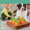 Морковь Овощ и Сад Интерактивные Плюшевые Игрушки для Собак для Снятия Стресса у Питомца