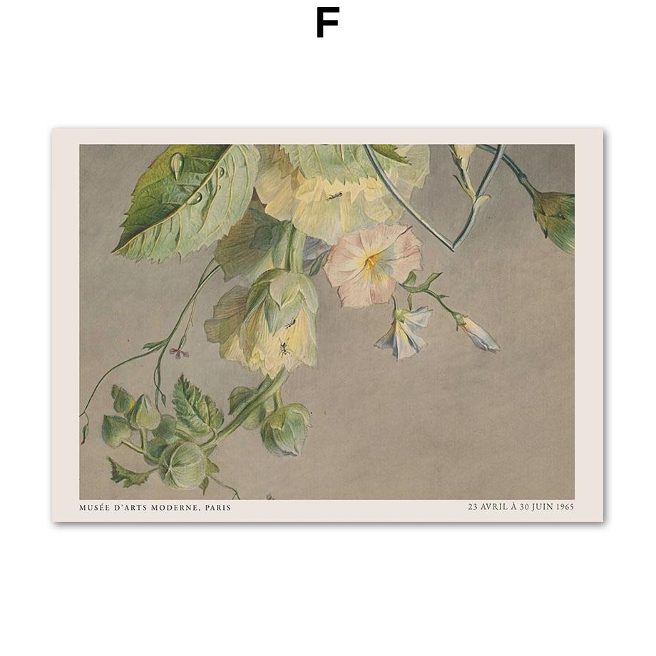 Современные минималистичные ботанические цветочные выставочные плакаты и принты, настенная живопись на холсте для гостиной, декоративные картины