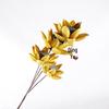 Bauhinia Lotus Pod Bouquet: Natural Air-Dried Flowers for Zen Decor