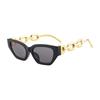 Fashion Sunglasses Women Small Frame Imitation Metal Chain Vintage Eyewear Outdoor Sun Protection Sun Glasses for Men