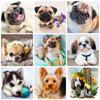 50x50 см 5D DIY алмазная живопись полный круглый квадратный животное Алмазная вышивка распродажа собака стразы мозаика подарок ручной работы