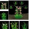 New Aquarium Aquatic Water Grass Artificial Plant Plastic Fish Tank Landscape Decor