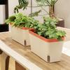 Self Watering Plant Pot Rectangle Modern Double Layer Indoor Windowsill Desktop Flower Herb Succulent Planter Box Gardening Supplies