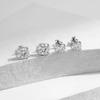 D Цвет 1CT 0,5CT Муассанит VVS Lab Diamond Серьги-гвоздики для женщин Стерлингового серебра 925 пробы Свадебные украшения Подарок