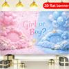 2D flat banner light luxury minimalist style party background decoration banner suitable for gender revealing