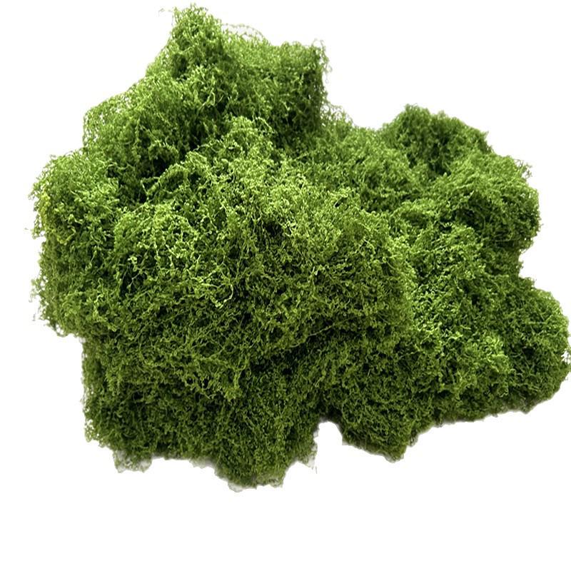 Moss Blocks for Indoor/Outdoor Decor - Micro Landscape & Cafe Plant Wall Materials