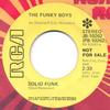7inch Record LINDA FIELDS & THE FUNKY BOYS - Solid Funk JB10262PROMO RCA 1975 US Soul/Funk Used