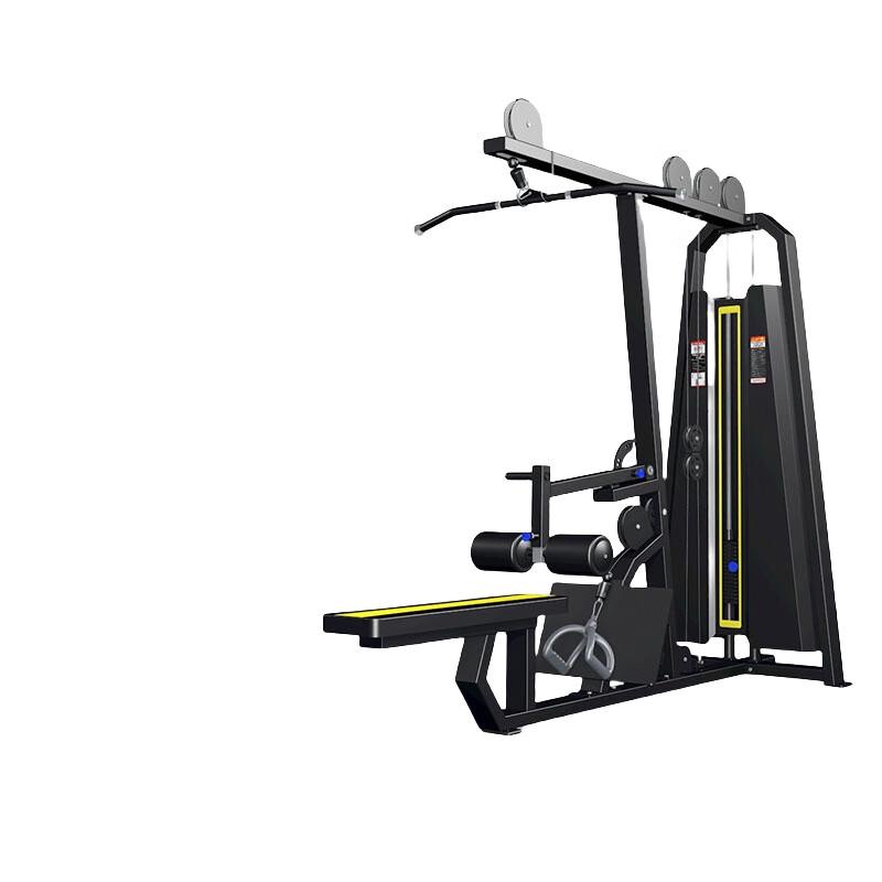 WEZHO Multi-Functional Lat Pulldown and Low Row Machine