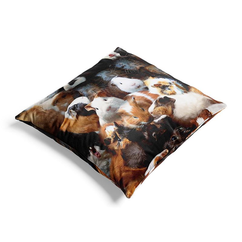 Aertemisi 18'' X 18'' Guinea Pigs Square Throw Pillow Cushion Covers Cases Pillowcases 45Cm X 45Cm