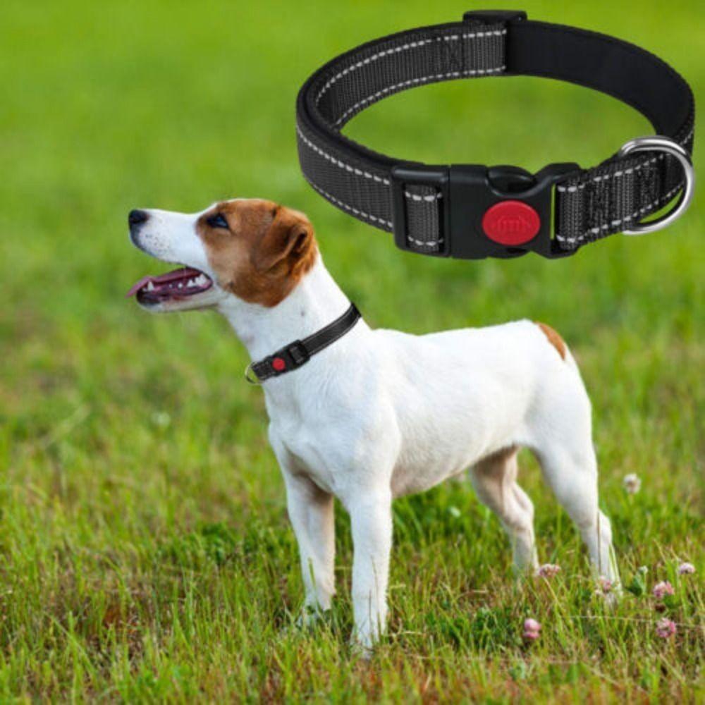 Buckle Nylon Durable Pet Collar Double D Ring Dog Collar Reflective Padded
