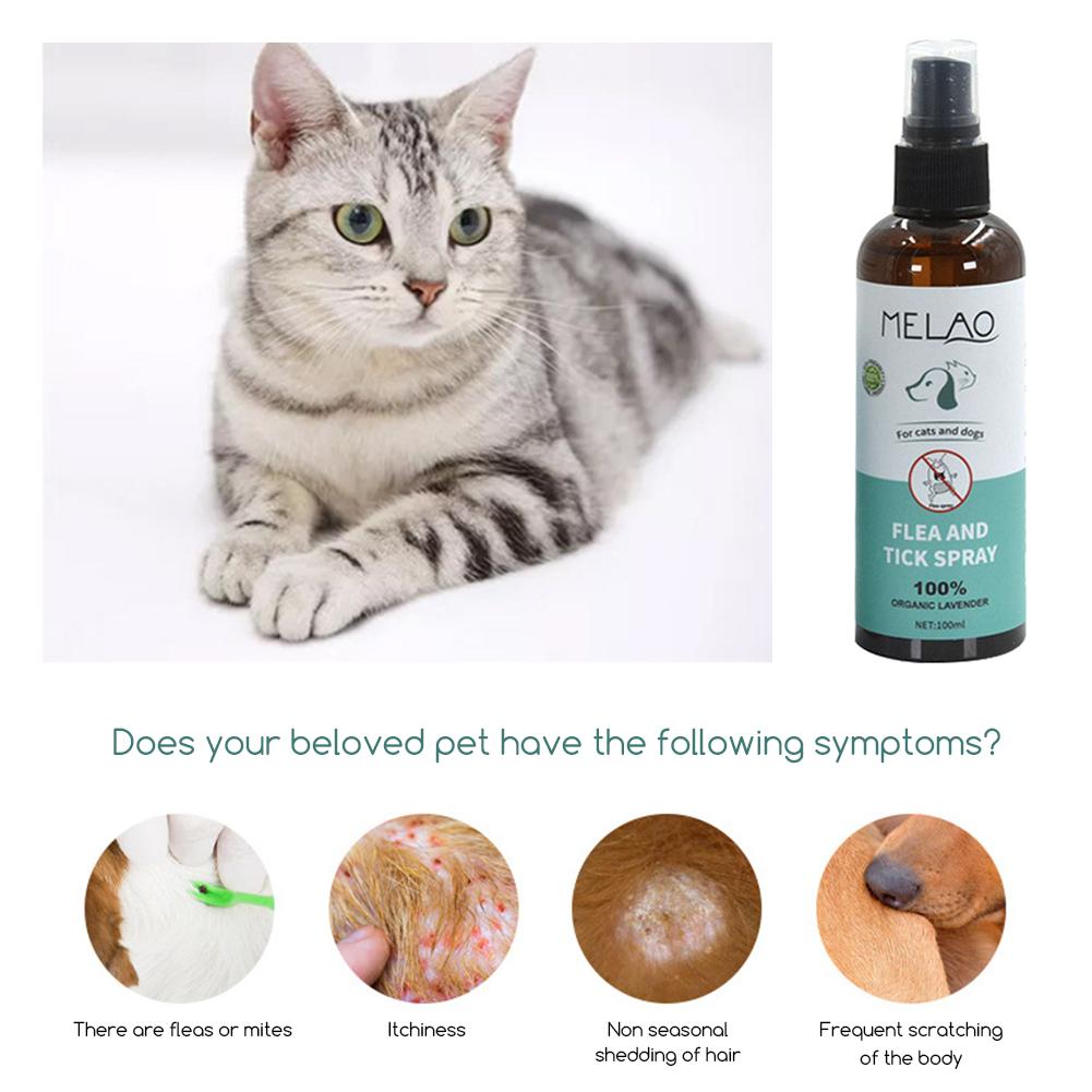 Спрей от блох и клещей с лавандовым маслом Уход за питомцами Средства от блох, клещей, комаров Товары для ухода за домашними животными