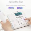 Deli 790 Wired Landline Phone (CN version)