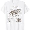 Thylacine Lover Detailed Anatomy Wildlife Wild Animal T Shirt Vintage Comfortable Versatile Stylish