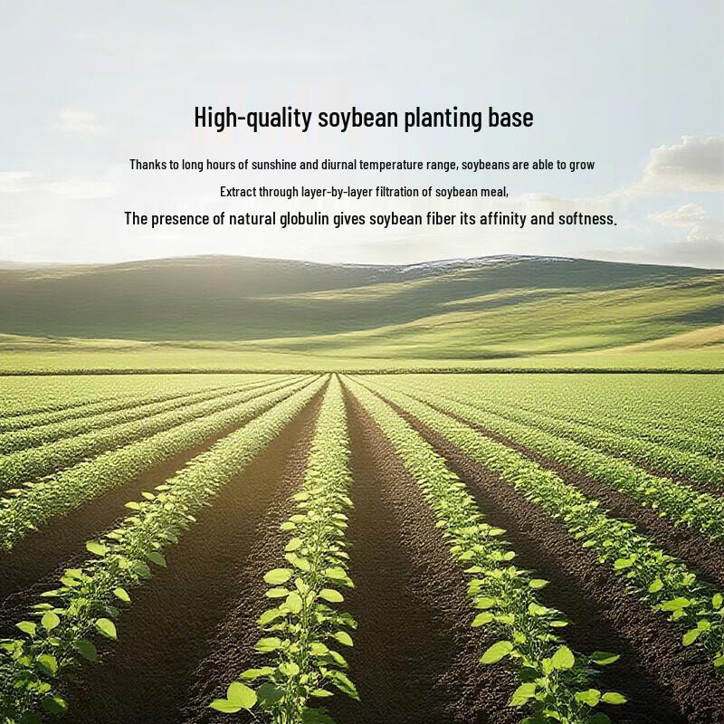 HLA 7A Antibacterial Soy Fiber All-Season Quilt