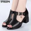 Fish Mouth Sandals Women's Buckle Outer Wear Thick Heels Middle-heeled Thick Shoes Middle-aged Mother Shoes