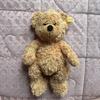 [USED] Steiff Teddy Bear Finn Gold