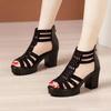 Fashion 2024New Fashion Women's Sandals Thick High Heels Summer Ladies Elegant Solid Color Back Zipper Outdoors Black Sandales for Women