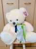 [USED] Large teddy bear plush toy, cream