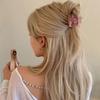 Transparent Acetate Hair Claw Animal Animal Hair Clip Fashion Fish Hair Claw  Daily
