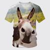 Summer Funny Donkey 3D Print T-Shirts Streetwear Men Women Fashion Oversized Short Sleeve T Shirt O-Neck Kids Tees Tops Clothing
