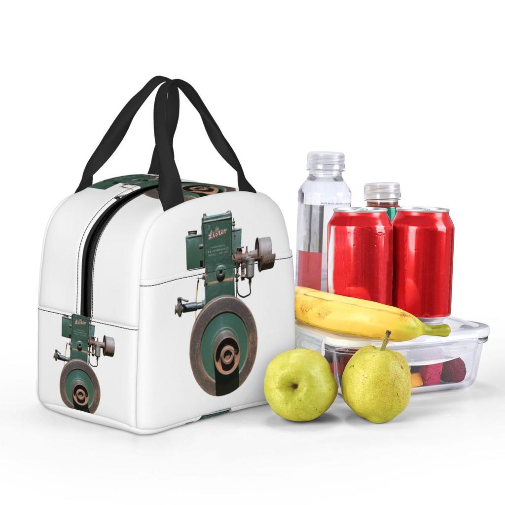 The Lister D Insulated Lunch Bag for Kids School Cooler Thermal Food Box Tote Portable Lunch Boxes Container