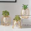 Легкая Роскошь Домашняя Декоративная Гидропонная Ваза для Офисного Стола, Контейнер для Зеленых Растений для Украшения Стола