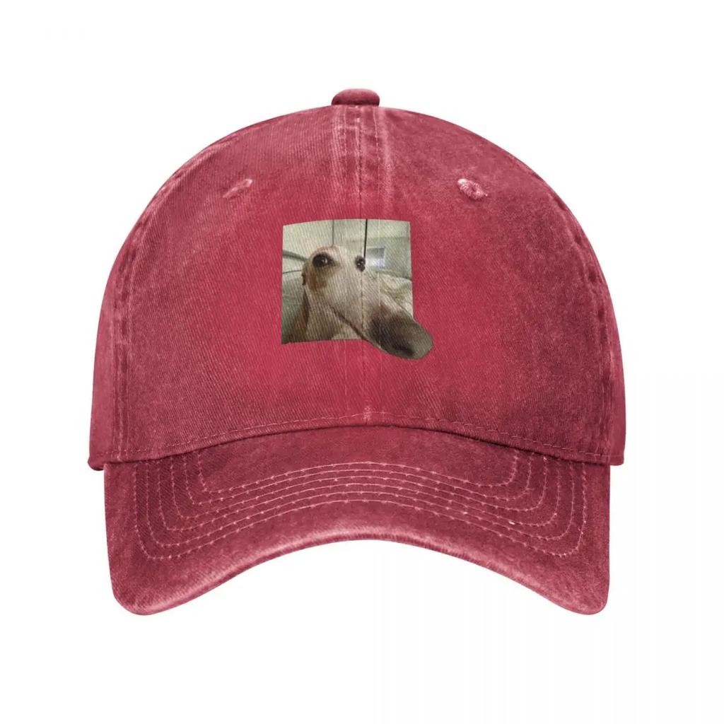 Funny Dog Baseball Cap hats on offer New In Hat Winter hat designer cap For Women  Unisexs