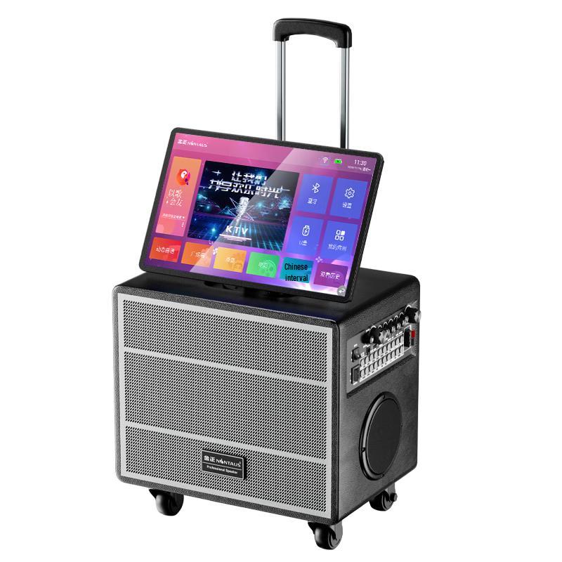 Jinzheng Portable All-in-One KTV Karaoke System