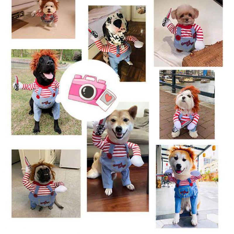 Funny Pet Costume Dog Cat Outfit With Prop Sword Small Breeds Like Teddy Poodle Corgi Bichon