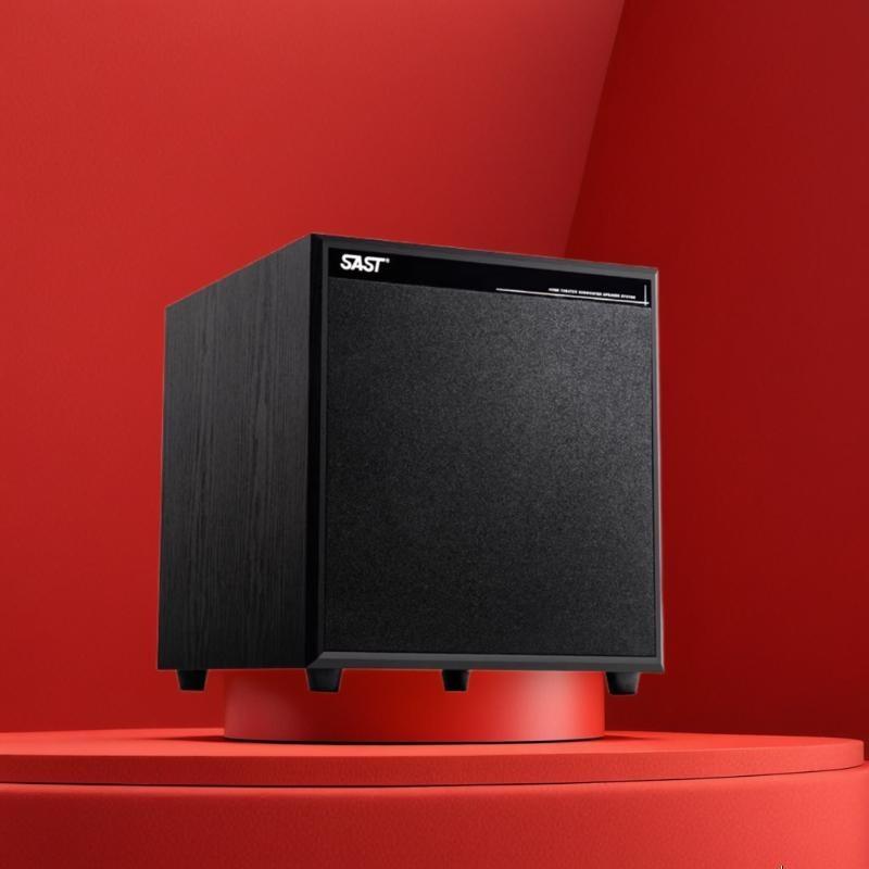 SAST Active Home Theater & KTV Subwoofer