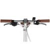 MAXTRON SMART20 Commuter bicycle 250W motor 7-speed 20*1.35 inch tires 36V 5.2AH