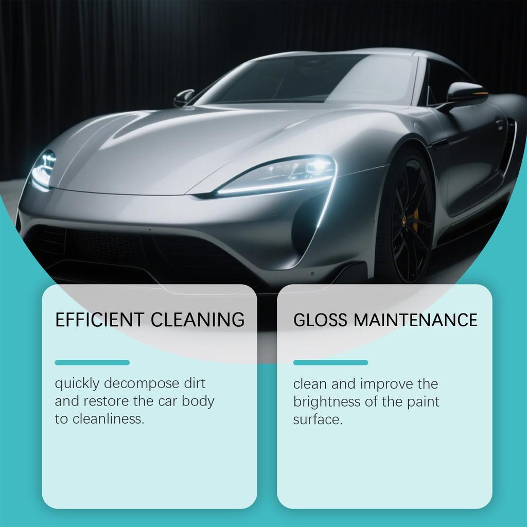 RAYHONG Car Cleaning & Care Spray Washes Away Dirt Without Leaving Streaks Universal Care for Paintwork and Wheels 120ml