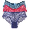 Embroidered Lace Panties Transparent Sexy Low Waist Underwear Ladies Girls Soft Breathable Briefs