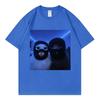 Masked Thief Cat Funny Meme Graphic T Shirts Unisex Unisex Gothic Fashion Short Sleeve TShirts Summer Casual Loose Cotton TShirt