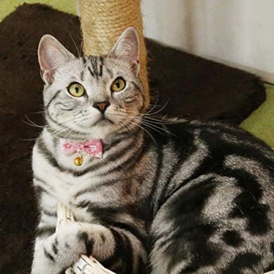 PetSoKoo Bowtie Cat Collar with Bell.Cute Japanese Cherry Blossom Flower.Girl Kitten,Pink