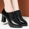 Fashion Elegant Deep Mouth Pumps Women Platform Block Heel 2024 High Heels Shoes Ladies Office Comfortable Versatile Office Model