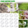 Plastic Plant Clips Supports Reusable Buckle Connects Fixing Vine Tomato Stem Grafting Vegetable Plants Orchard and Garden Tools