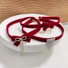 Red Bow Choker Zinc Zinc Alloy Velvet Collar Necklaces Elegant Bowknot Earrings  New Year