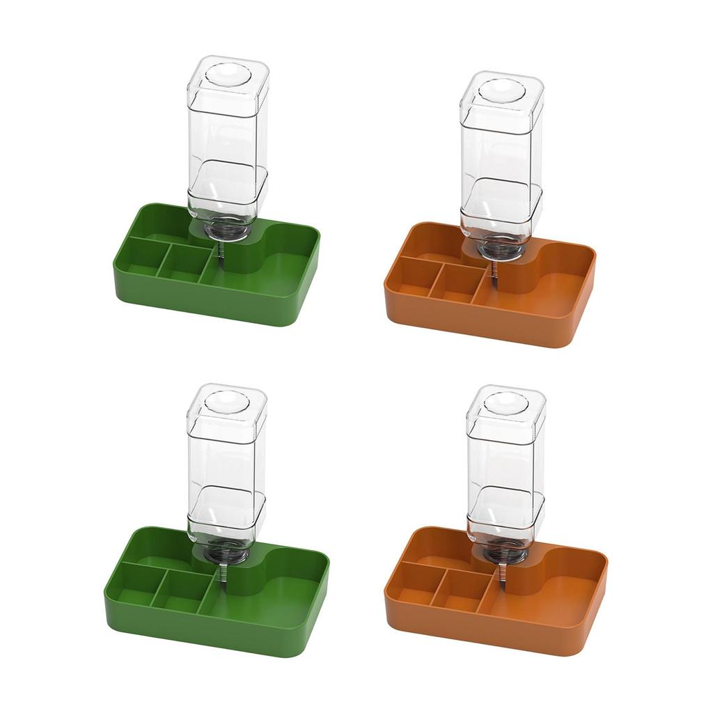 Reptile Feeder Amphibians Accessory Multi Compartments Automatic Water Dispenser for Chameleon Snake Gecko Turtle Tortoise