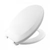 Bemis Ashford Thermoplastic Toilet Seat White