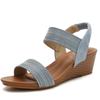 Sandals Women One Strap Roman Shoes Fairy Style New Summer Large Size Slope Heel Fashion Women's Shoes