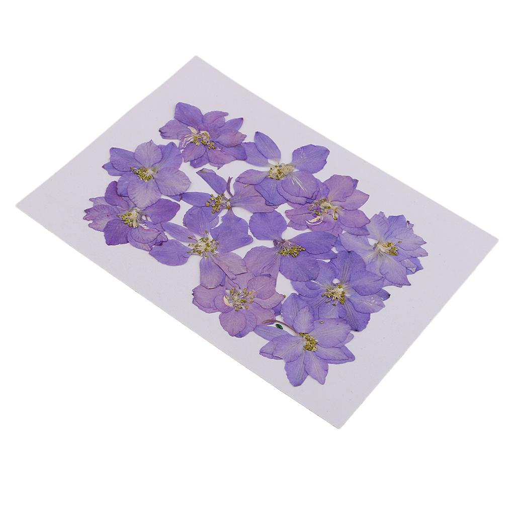 Pressed Dried Flowers Natural Dried Flowers for Candle and Soap Making Mini Dried Flower Bouquet for DIY Decorations